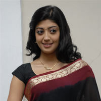 Praneetha hot in transparent black saree | Picture 68321